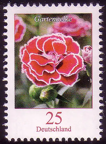 2694 Blume 25 C Gartennelke NASSKLEBEND, postfrisch **