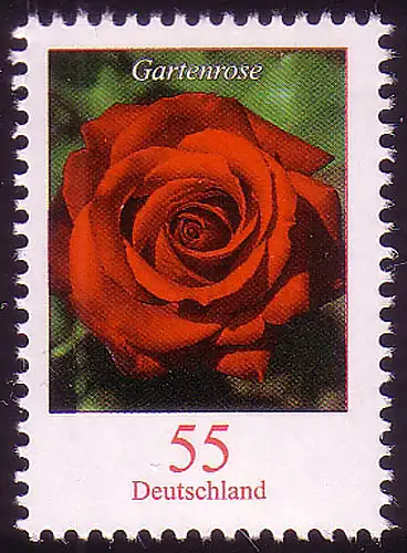 2669 Blume 55 C Gartenrose NASSKLEBEND, postfrisch **