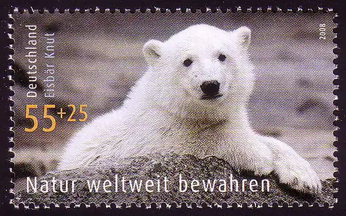 2656 Protection de l'environnement 55+25 C Ours polaires Knut ** post-fraîchissement