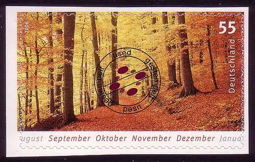 2576 Jahreszeiten Buchenwald selbstklebend aus MH 65 O