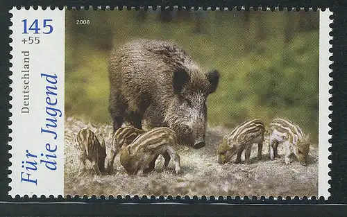 2543 Jugend Tiere 145+55 C Wildschwein **