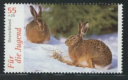2541 Jugend Tiere 55+25 C Feldhase **