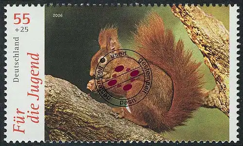 2540 Jeunesse Animaux 55+25 C écureuils O