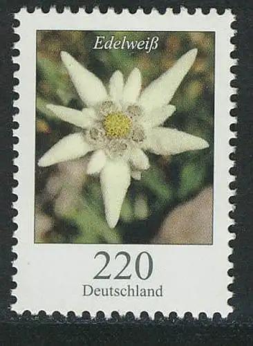 2530 Blumen 220 C Edelweiß, postfrisch **