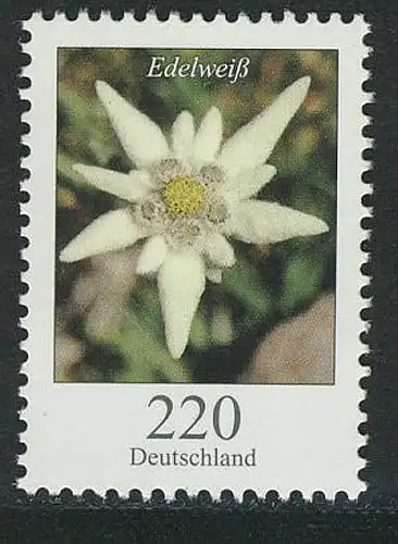 2530 Blumen 220 C Edelweiß **