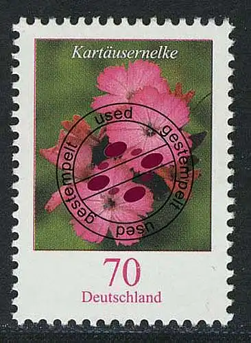 2529 Blumen 70 C Kartäusernelke O