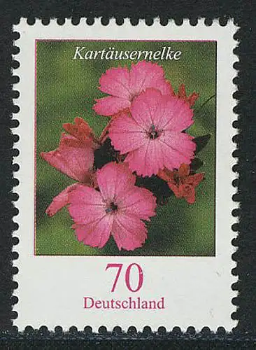 2529 Blumen 70 C Kartäusernelke, postfrisch **