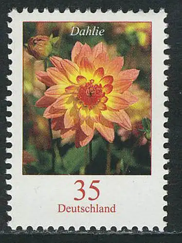 2505 Blumen 35 C Dahlie NASSKLEBEND, postfrisch **