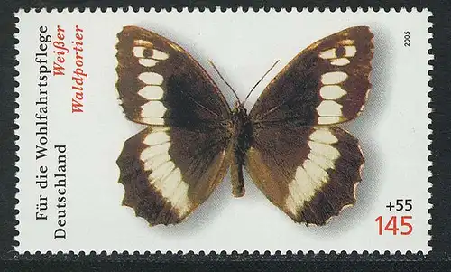 2503 Wofa Schmetterlinge 145+55 C Weißer Waldportier **
