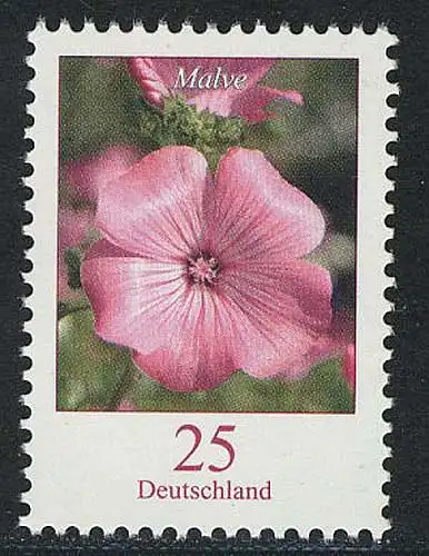 2462 Blumen 25 C Bechermalve NASSKLEBEND, postfrisch **