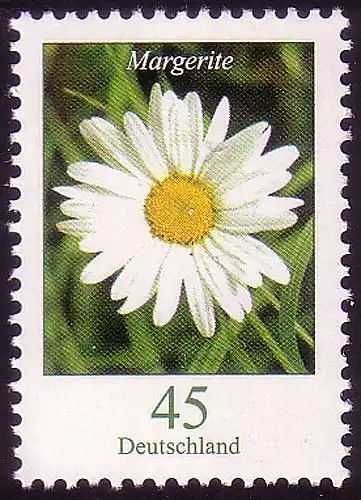 2451 fleurs 45 C Margerite **.