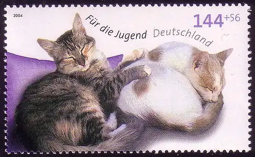 2406 Jugend 144+56 C Schlafende Katzen **