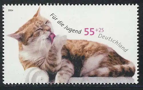 2405 Jugend 55+35 C Sich putzende Katze **