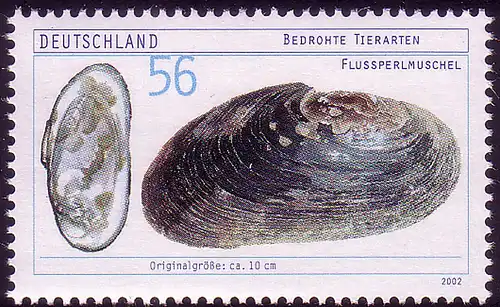 2266 Bedrohte Tierarten Flussperlmuschel **