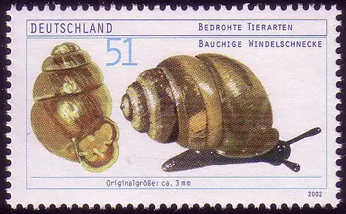 2265 Bedrohte Tierarten Windelschnecke **