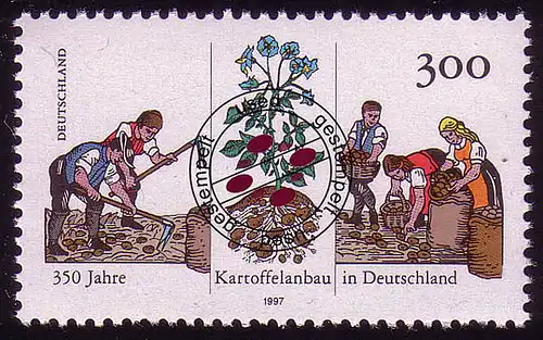 1946 Kartoffelanbau O