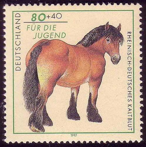 1920 Jugend Pferderassen Rheinisch-Dt. Kaltblut **