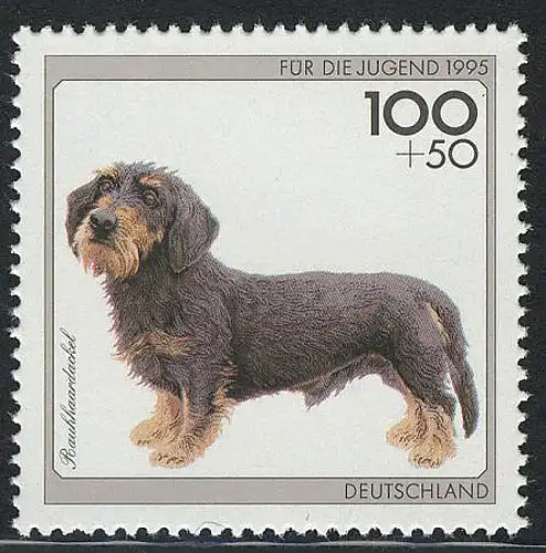 1800 jeunes races de chiens 100+50 pf raclée **
