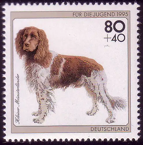 1797 Jugend Hunderassen 80+40 Pf kl. Münsterländer **