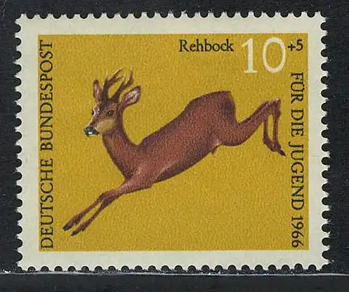 511 Jugend Hochwild 10+5 Pf Reh **