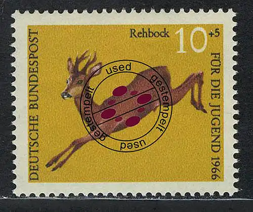 511 Jugend Hochwild 10+5 Pf Reh O