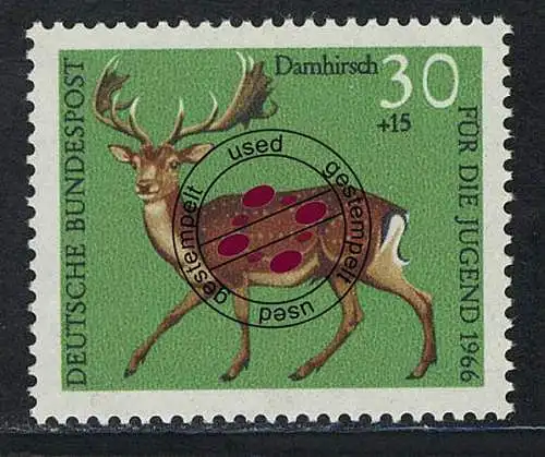 513 Jugend Hochwild 30+15 Pf Damhirsch O