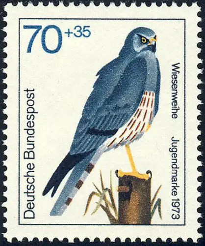 757 Jeunes oiseaux de proie 70+35 Pf Sauvage des prés **