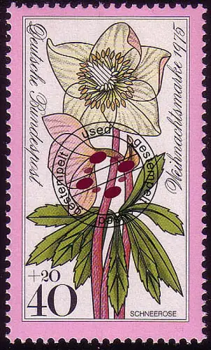 874 Weihnachten 40+20 Pf Schneerose O