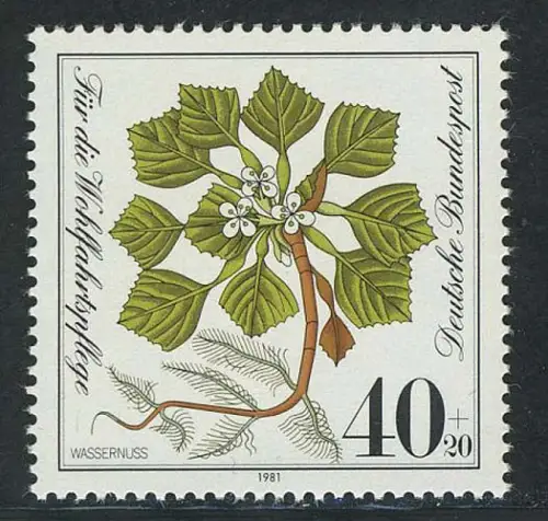 1108 Noisette d'eau 40+20 Pf **