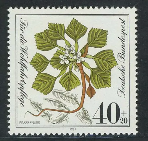 1108 Wohlfahrt Wassernuß 40+20 Pf **