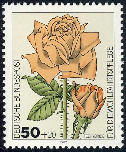 1150 Rose de jardin de bienfaisance 50+20 Pf **