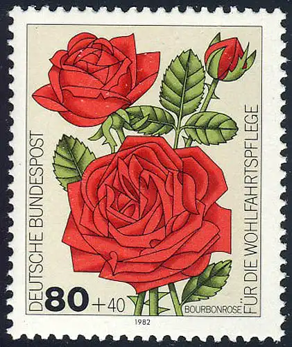 1152 Rose de jardin de bien-être 80+40 Pf ** post-fraîchissement