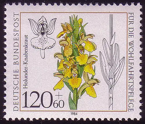 1228 Orchidées de bien-être 120+60 Pf **