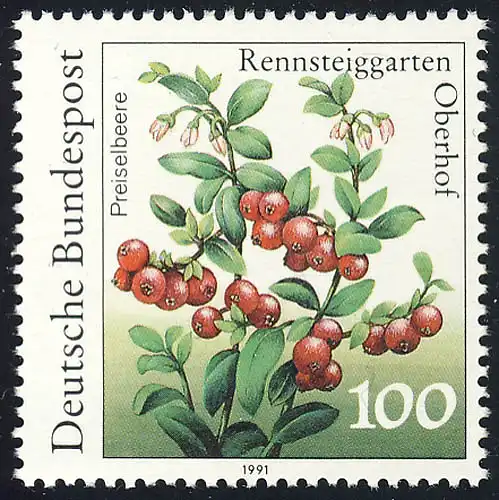 1508 Airelle 100 Pf **.