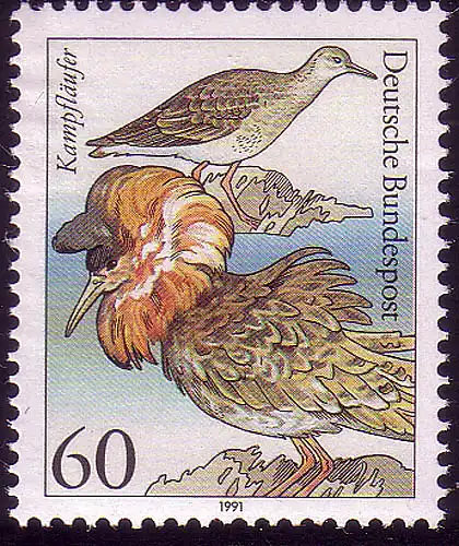 1539 Seevögel 60 Pf Kampfläufer **