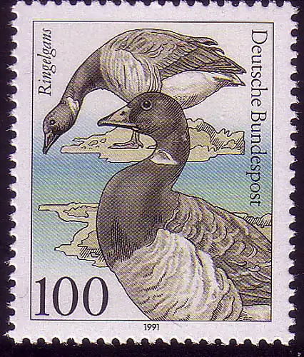 1541 Oiseaux marins 100 Pf Ringelgans **