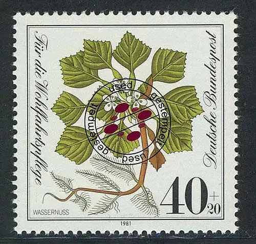 1108 Wohlfahrt Wassernuß 40+20 Pf O