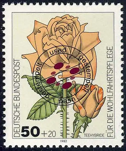 1150 Rose de jardin de bienfaisance 50+20 Pf O