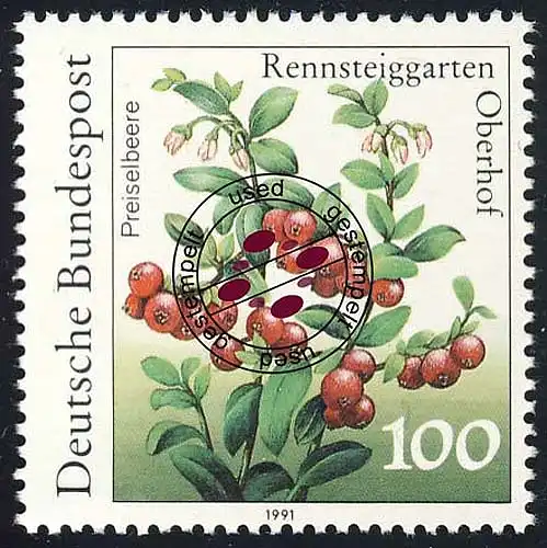 1508 Airelle 100 Pf O.