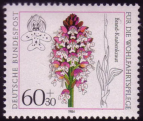 1226 Orchidées de bien-être 60+30 Pf **