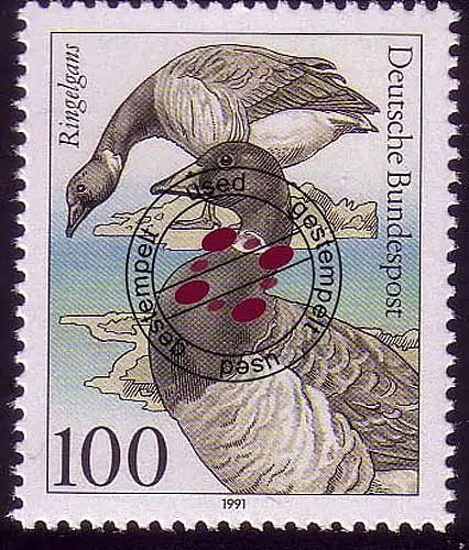 1541 Oiseaux marins 100 Pf Ringelgans O Tamponné