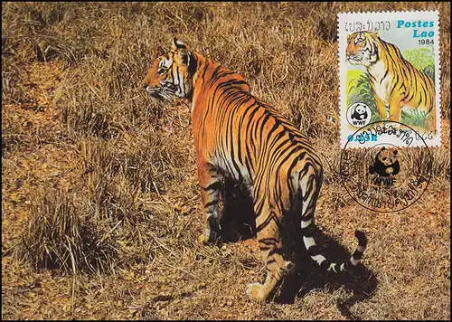 WWF World Wildlife Laos Indischer Tiger 1984, auf zwei Maximumkarten 1984
