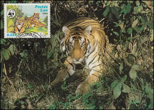WWF World Wildlife Laos Indischer Tiger 1984, auf zwei Maximumkarten 1984