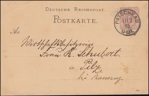 Carte postale P 12/02B chiffre 5 pfennig DV 1084 de PATCHKAU 11.7.1885 par champignon