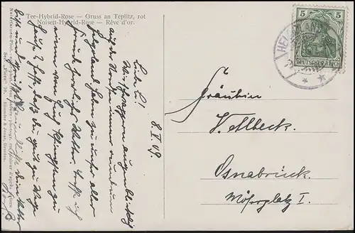 AK Thé hybride rose - Gris à Teplitz, rouge, de HELGOLAND 9.5.09 à Osnabrück