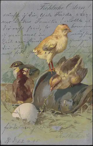 Glückwunschkarte Ostern mit Küken, BERLIN 34 - 22.4.1905 als Orts-Postkarte