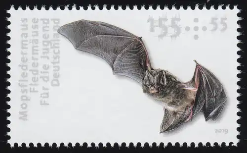 3487 Chiroptères: chauves-souris en arc de 10 ans, **