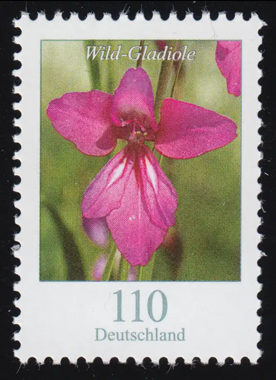 3471 Blume Wild-Gladiole 110 Cent, nassklebend, postfrisch **