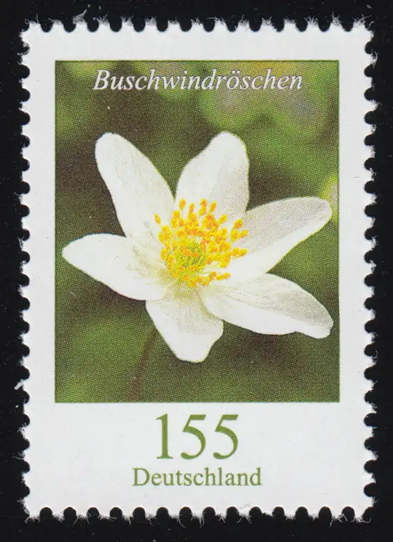 3472 Blume Buschwindröschen 155 Cent, nassklebend, postfrisch **