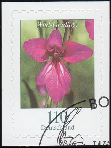 3489 Blume Wild-Gladiole 110 Cent, selbstklebend auf neutraler Folie, O